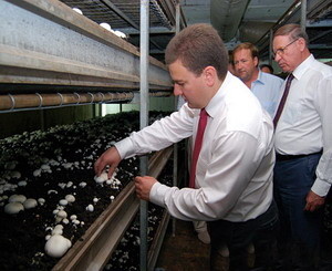 Губернатор послал аграриев «за грибами» 