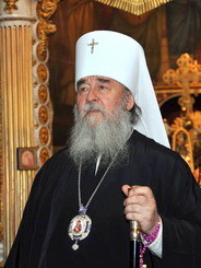 Митрополит Ириней восхищен визитом Патриарха Кирилла 