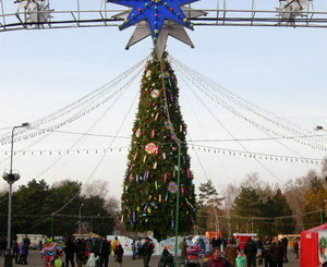 В парке Глобы устанавливают новогоднюю елку  
