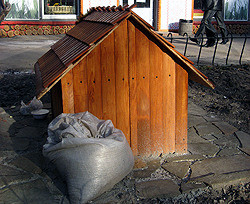 В Днепропетровске построили «кошкин дом»  