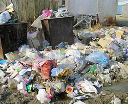В Днепропетровске нашли способ борьбы с мусорными «подкидышами»  