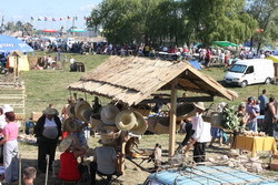 Сорочинская ярмарка переезжает в Петриковку