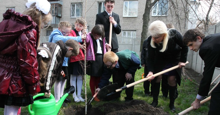 Детишки на ощупь посадили деревья