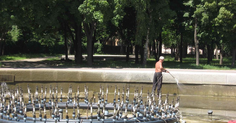В фонтане сквера Ленина завелись караси