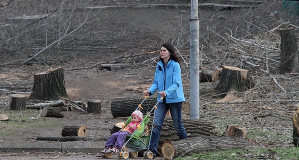 В парке Глобы перестали рубить деревья