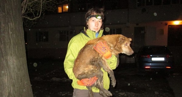 Днепропетровский спасатель кошек вытащил собаку из закрытого люка