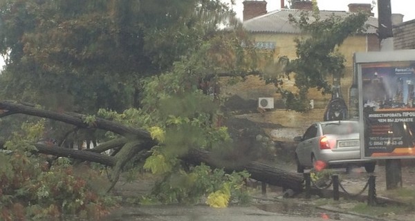 Ураган в Днепропетровске: деревья падают, но транспорт кое-как работает