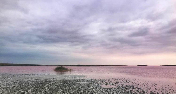 Уникальное розовое озеро на Херсонщине поменяло цвет