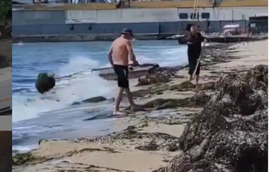 В Бердянске водоросли с пляжа сбрасывают обратно в море