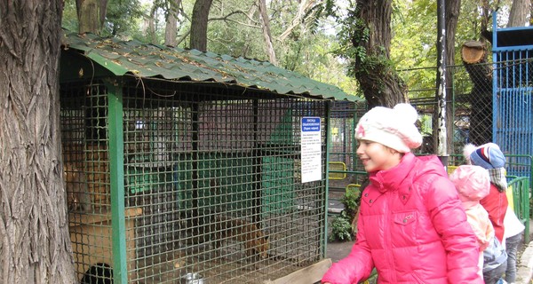 Обитатели зоопарка готовятся к холодам