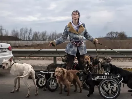Зооволонтер из Ирпеня: Все собаки-инвалиды с фото, облетевшего мир, нашли дом
